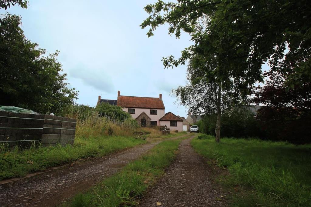 A Nicely Presented Friendly Comfortable Eco Cottage Thornbury  Exterior foto
